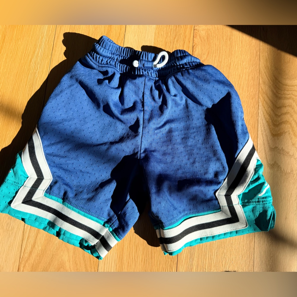 Jordan Blue Athletic Shorts